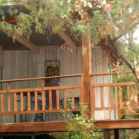 Chalet Dans Residence Privee La Gaude Εξωτερικό φωτογραφία