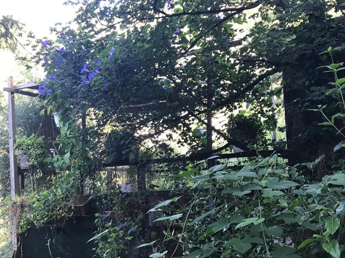 Chalet Dans Residence Privee La Gaude Εξωτερικό φωτογραφία