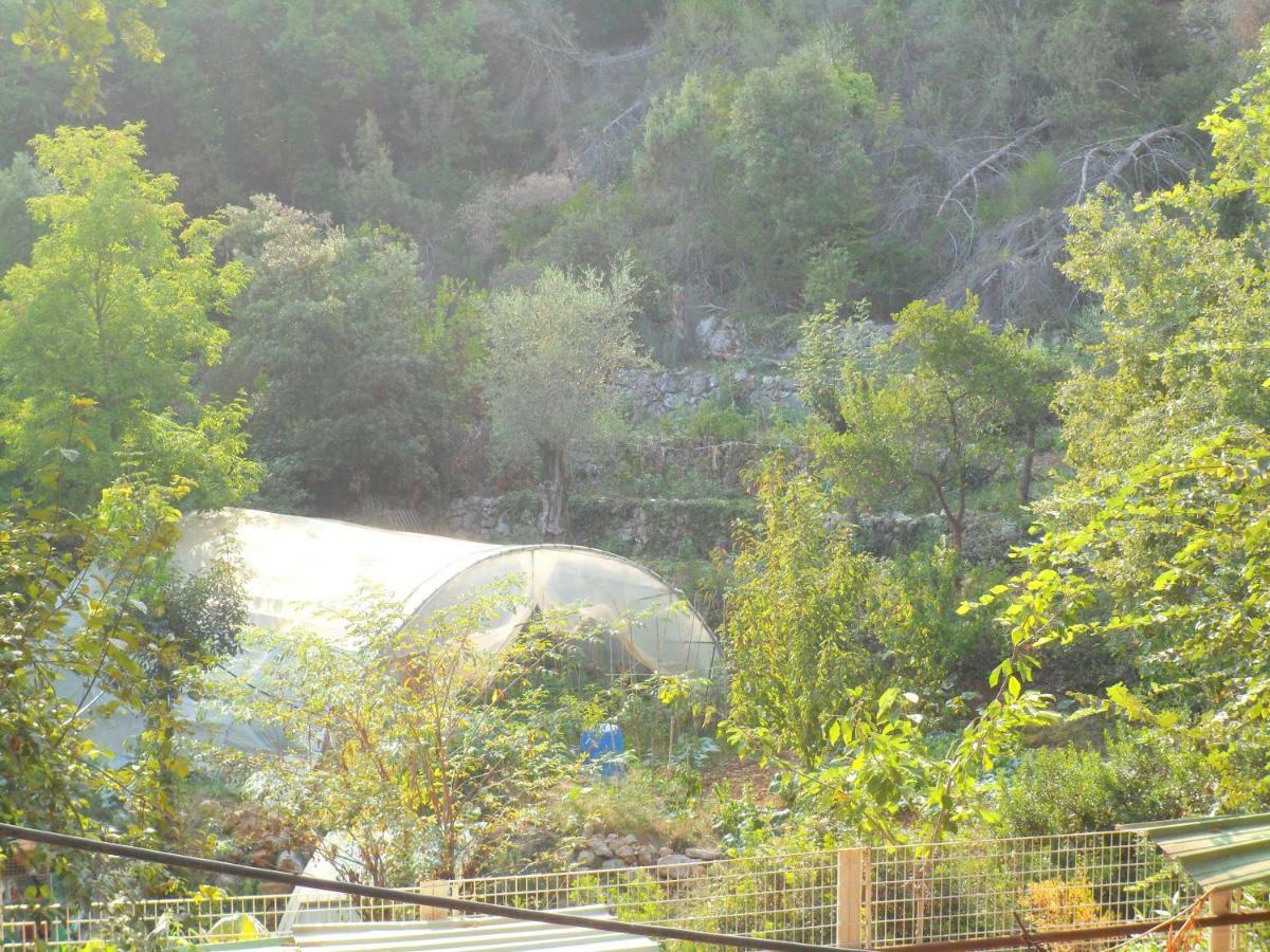 Chalet Dans Residence Privee La Gaude Εξωτερικό φωτογραφία